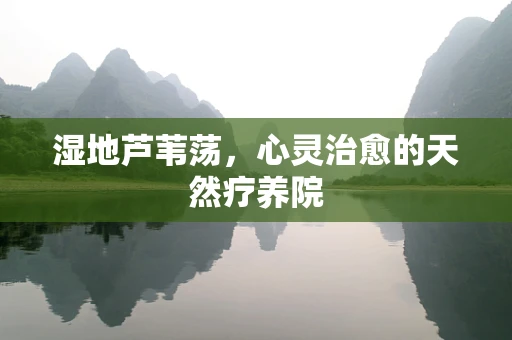 湿地芦苇荡，心灵治愈的天然疗养院