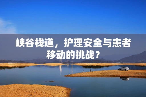 峡谷栈道，护理安全与患者移动的挑战？