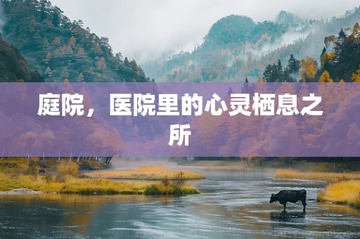 庭院，医院里的心灵栖息之所