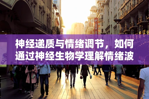 神经递质与情绪调节，如何通过神经生物学理解情绪波动？