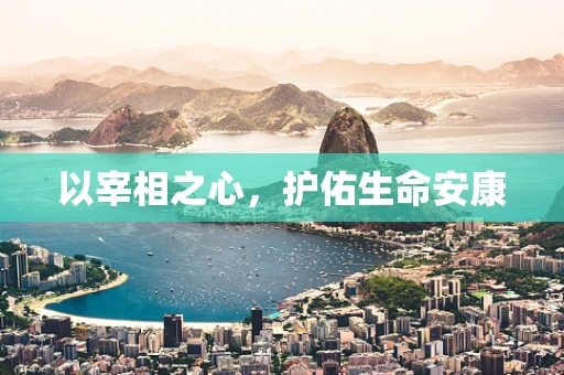 以宰相之心，护佑生命安康