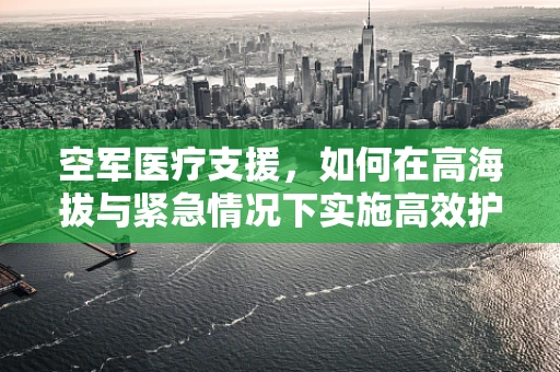 空军医疗支援，如何在高海拔与紧急情况下实施高效护理？