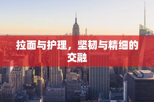拉面与护理，坚韧与精细的交融