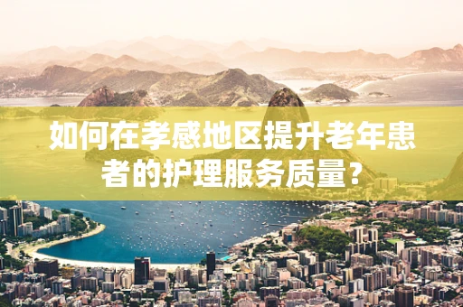 如何在孝感地区提升老年患者的护理服务质量？