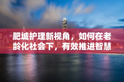 肥城护理新视角，如何在老龄化社会下，有效推进智慧养老医疗服务？