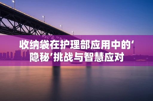 收纳袋在护理部应用中的‘隐秘’挑战与智慧应对