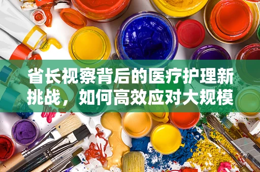 省长视察背后的医疗护理新挑战，如何高效应对大规模公共卫生事件？