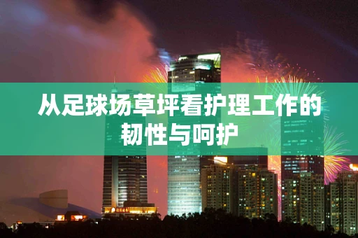 从足球场草坪看护理工作的韧性与呵护