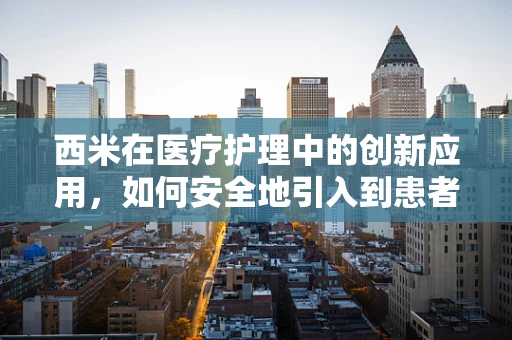 西米在医疗护理中的创新应用，如何安全地引入到患者饮食中？