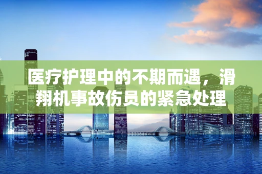 医疗护理中的不期而遇，滑翔机事故伤员的紧急处理