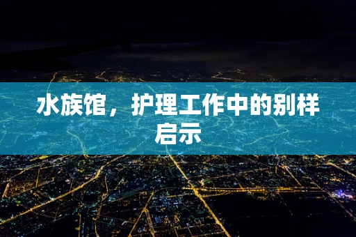 水族馆，护理工作中的别样启示