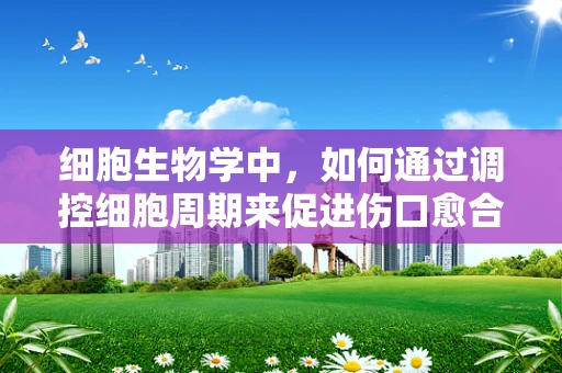 细胞生物学中，如何通过调控细胞周期来促进伤口愈合？