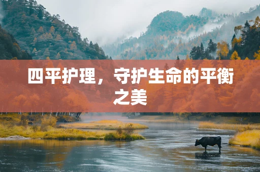 四平护理，守护生命的平衡之美