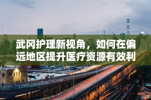 武冈护理新视角，如何在偏远地区提升医疗资源有效利用？