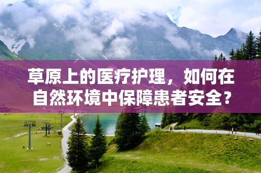 草原上的医疗护理，如何在自然环境中保障患者安全？