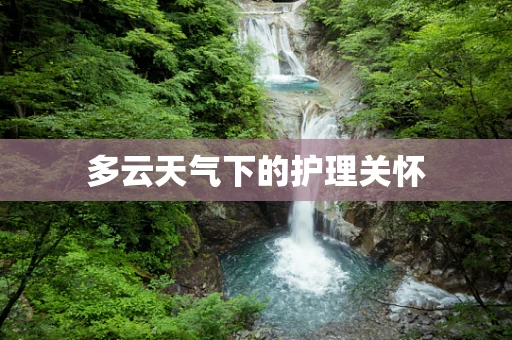 多云天气下的护理关怀