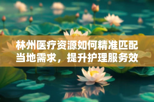 林州医疗资源如何精准匹配当地需求，提升护理服务效率？