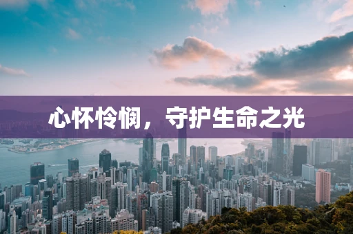 心怀怜悯，守护生命之光