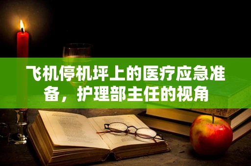 飞机停机坪上的医疗应急准备，护理部主任的视角