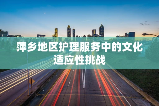 萍乡地区护理服务中的文化适应性挑战
