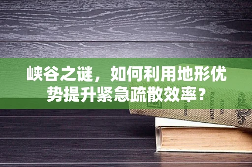 峡谷之谜，如何利用地形优势提升紧急疏散效率？