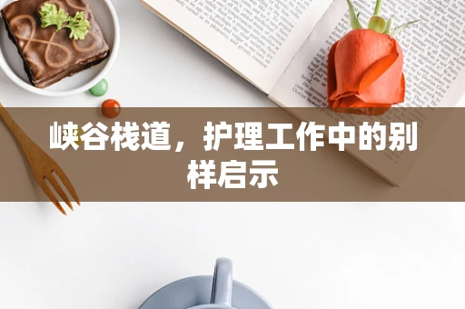 峡谷栈道，护理工作中的别样启示