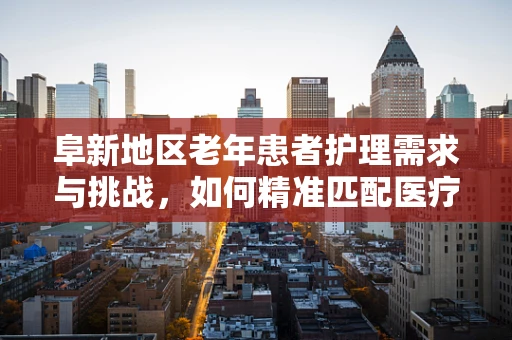 阜新地区老年患者护理需求与挑战，如何精准匹配医疗资源？