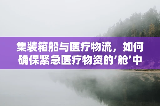 集装箱船与医疗物流，如何确保紧急医疗物资的‘舱’中安全？