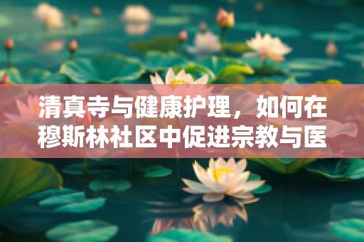 清真寺与健康护理，如何在穆斯林社区中促进宗教与医疗的和谐共融？