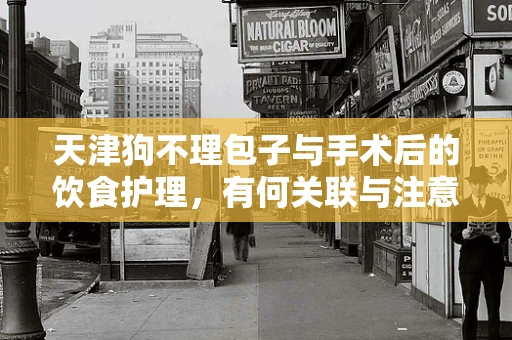 天津狗不理包子与手术后的饮食护理，有何关联与注意事项？
