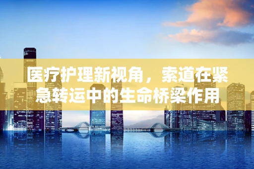 医疗护理新视角，索道在紧急转运中的生命桥梁作用