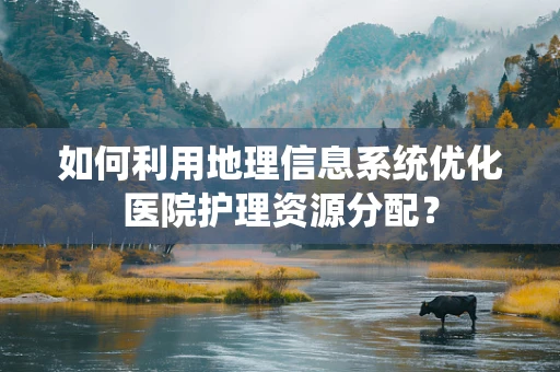 如何利用地理信息系统优化医院护理资源分配？