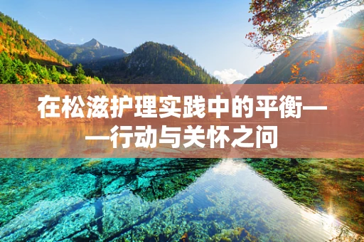 在松滋护理实践中的平衡——行动与关怀之问