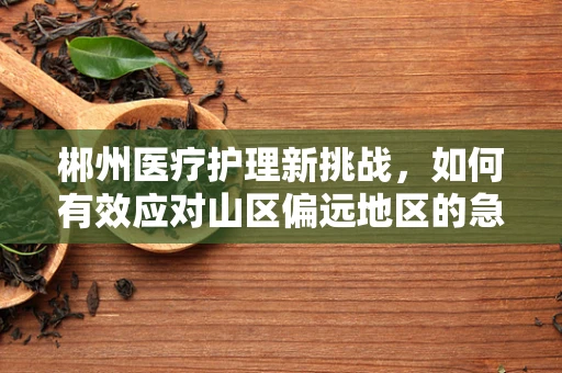 郴州医疗护理新挑战，如何有效应对山区偏远地区的急救转运？