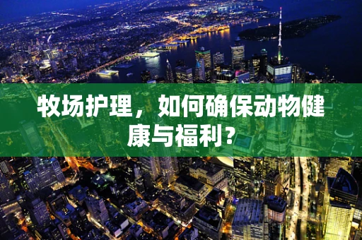 牧场护理，如何确保动物健康与福利？
