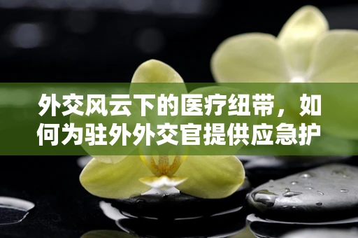 外交风云下的医疗纽带，如何为驻外外交官提供应急护理？