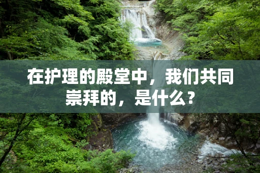 在护理的殿堂中，我们共同崇拜的，是什么？