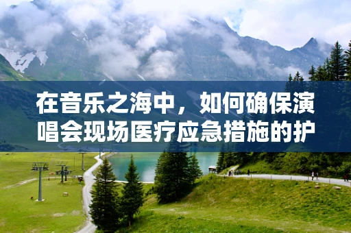 在音乐之海中，如何确保演唱会现场医疗应急措施的护航作用？