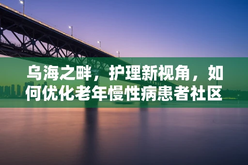 乌海之畔，护理新视角，如何优化老年慢性病患者社区护理服务？