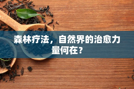 森林疗法，自然界的治愈力量何在？