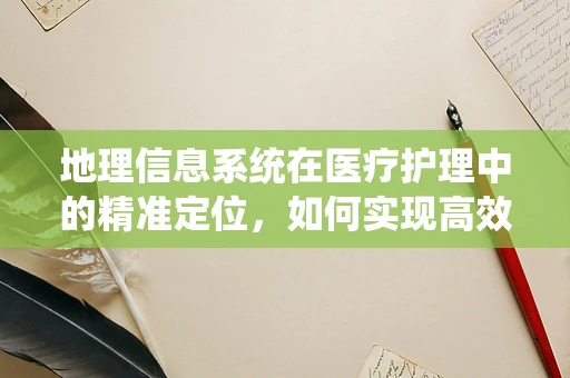 地理信息系统在医疗护理中的精准定位，如何实现高效患者追踪？