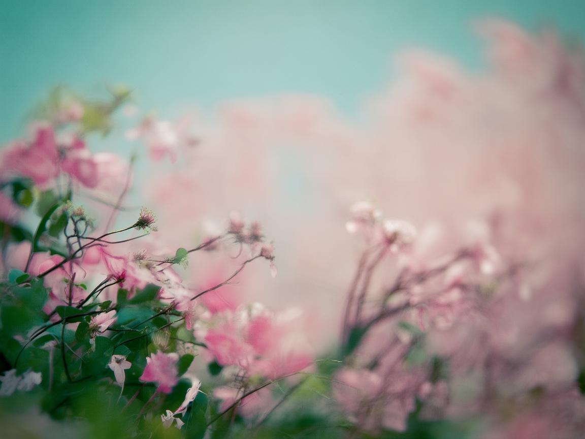 邢台地区如何优化老年患者护理服务？