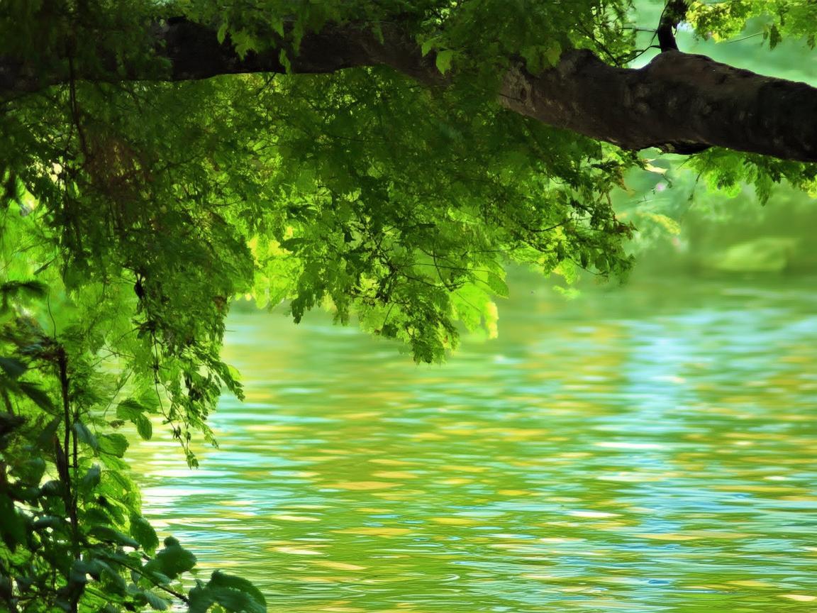 贵阳地区如何优化老年患者护理服务? 贵阳地区如何优化老年患者护理服务?