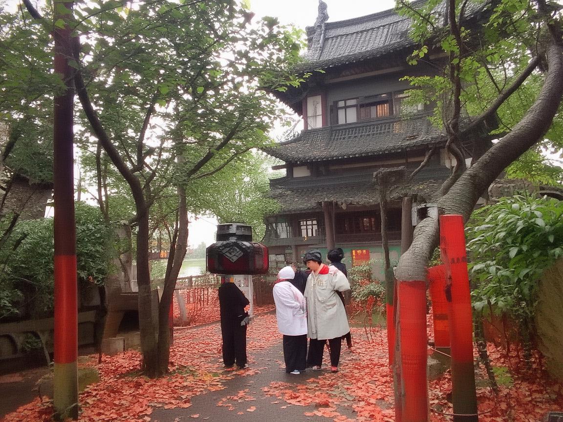 绿豆,传统解暑良品,现代医学如何看待其功效? 绿豆,传统解暑良品,现代医学如何看待其功效?