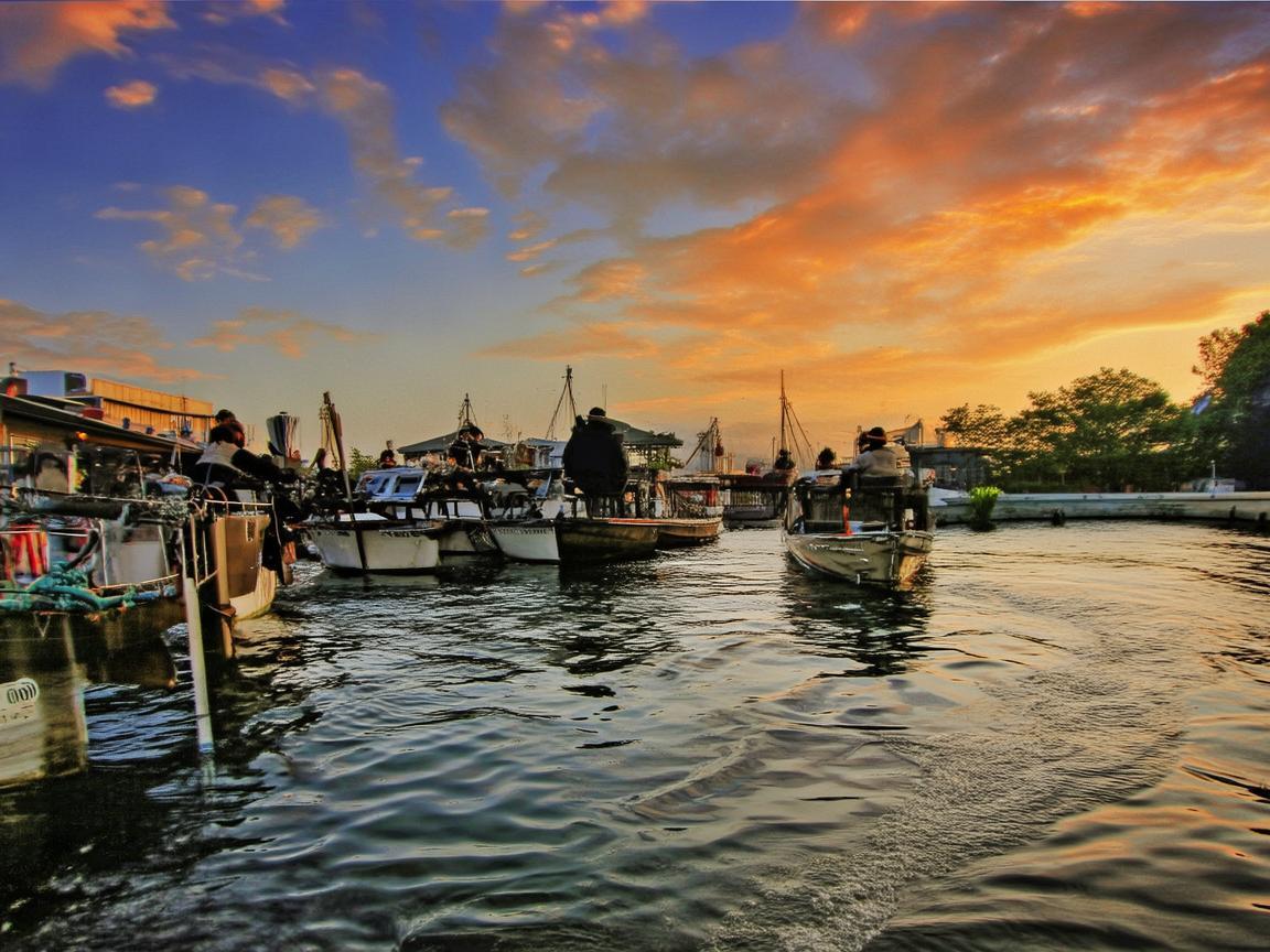 莲雾入药，自然界的清凉之选，如何科学应用于护理实践？