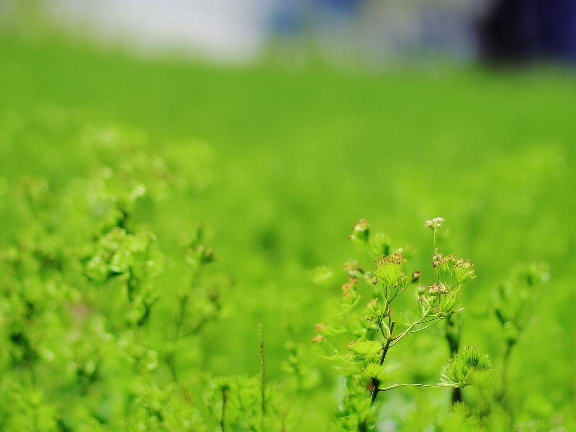 衢州护理新视角，如何在地域特色中优化老年患者护理方案？