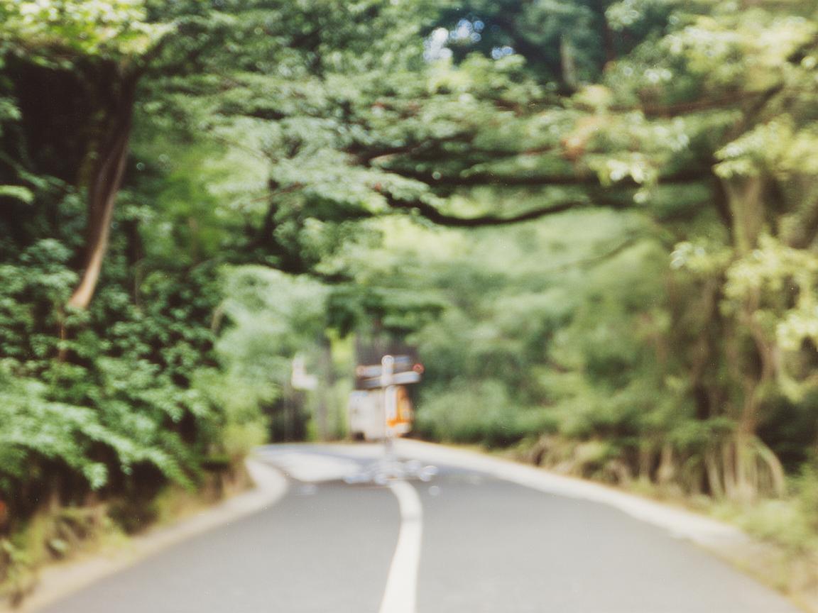 湛江地区如何利用地域特色提升护理服务质量？