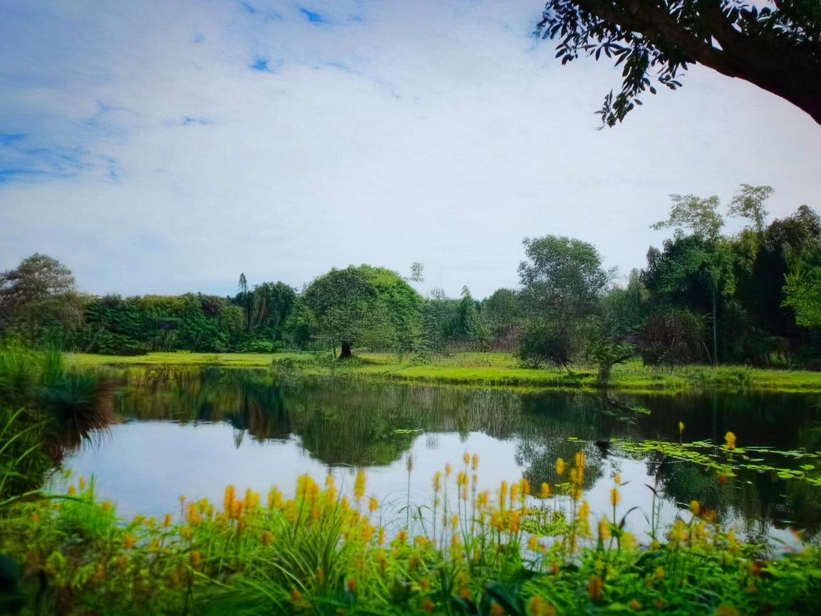 徒步径休息站,如何设计才能促进患者康复? 徒步径休息站,如何设计才能促进患者康复?