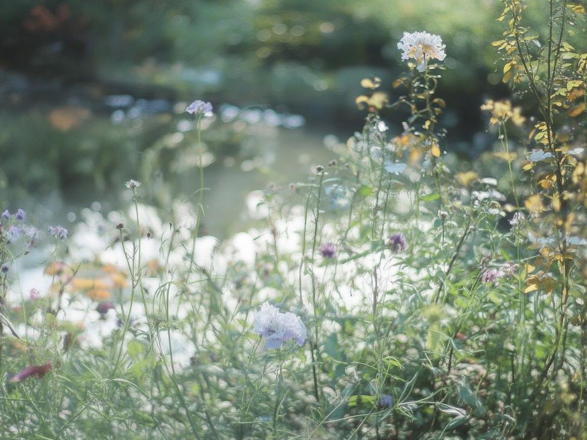 莫让羡慕遮蔽护理初心