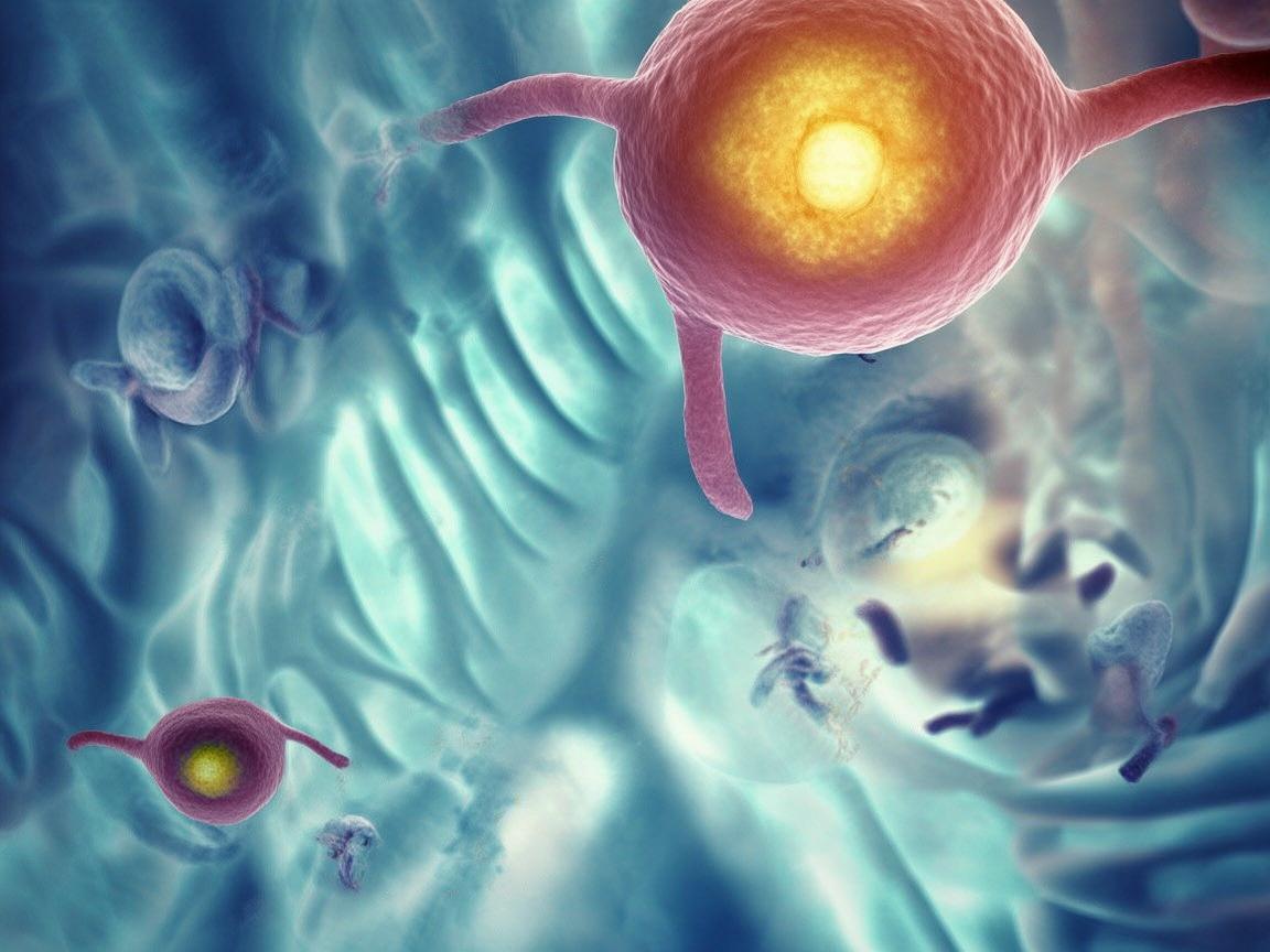 胃癌早期，我们为何常‘视而不见’？——揭开胃癌隐匿的真相